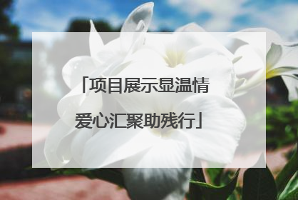 项目展示显温情 爱心汇聚助残行