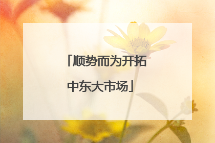顺势而为开拓中东大市场