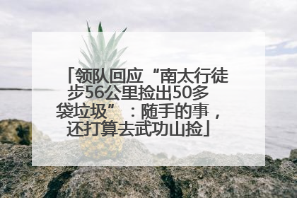 领队回应“南太行徒步56公里捡出50多袋垃圾”：随手的事，还打算去武功山捡