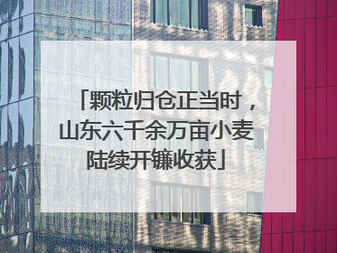 颗粒归仓正当时，山东六千余万亩小麦陆续开镰收获