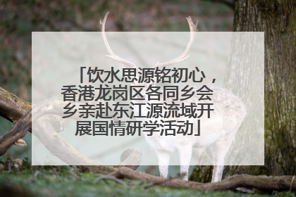 饮水思源铭初心，香港龙岗区各同乡会乡亲赴东江源流域开展国情研学活动