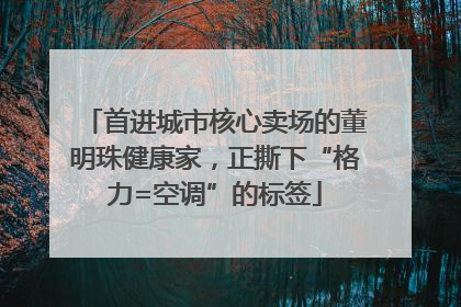 首进城市核心卖场的董明珠健康家，正撕下“格力=空调”的标签