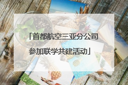 首都航空三亚分公司参加联学共建活动