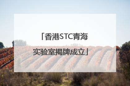 香港STC青海实验室揭牌成立