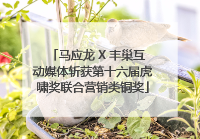 马应龙 X 丰巢互动媒体斩获第十六届虎啸奖联合营销类铜奖