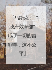 马斯克：“政府效率部”成了一切的替罪羊，这不公平
