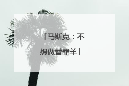 马斯克：不想做替罪羊