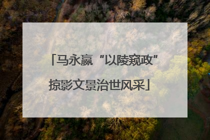 马永嬴“以陵窥政” 掠影文景治世风采