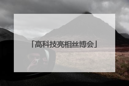 高科技亮相丝博会