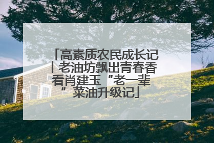 高素质农民成长记丨老油坊飘出青春香 看肖建玉“老一辈”菜油升级记