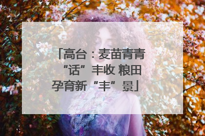 高台：麦苗青青“话”丰收 粮田孕育新“丰”景