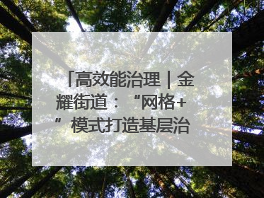 高效能治理｜金耀街道：“网格+”模式打造基层治理新样板