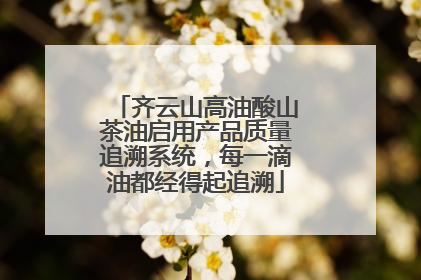 齐云山高油酸山茶油启用产品质量追溯系统，每一滴油都经得起追溯