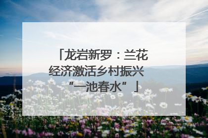 龙岩新罗：兰花经济激活乡村振兴“一池春水”
