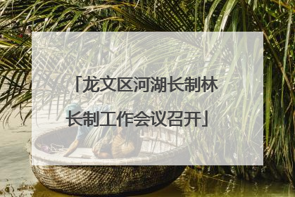 龙文区河湖长制林长制工作会议召开