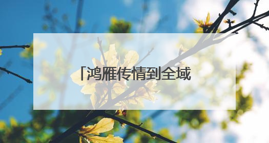 鸿雁传情到全域协作 甬库共绘民族团结新图景