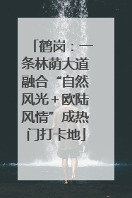 鹤岗：一条林荫大道融合“自然风光＋欧陆风情”成热门打卡地