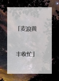 麦浪黄 丰收忙
