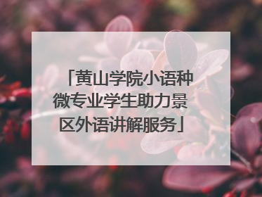 黄山学院小语种微专业学生助力景区外语讲解服务