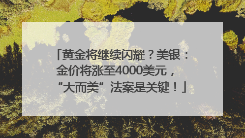 黄金将继续闪耀？美银：金价将涨至4000美元，“大而美”法案是关键！