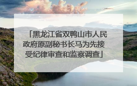 黑龙江省双鸭山市人民政府原副秘书长马为先接受纪律审查和监察调查