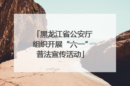 黑龙江省公安厅组织开展“六一”普法宣传活动