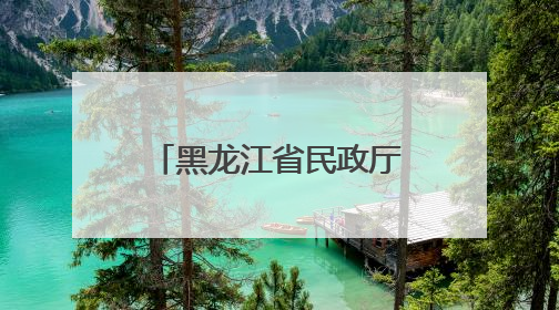 黑龙江省民政厅权威解读养老服务改革发展的重点任务和创新举措