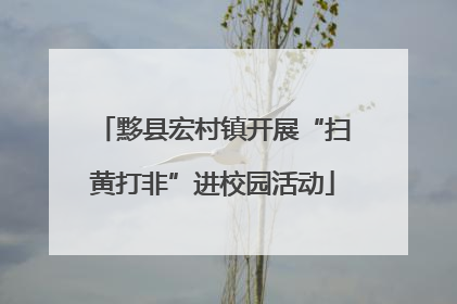 黟县宏村镇开展“扫黄打非”进校园活动