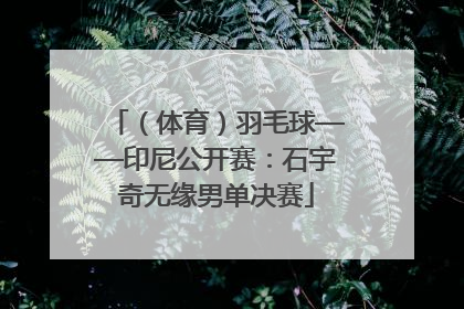 （体育）羽毛球——印尼公开赛：石宇奇无缘男单决赛