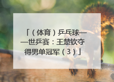 （体育）乒乓球——世乒赛：王楚钦夺得男单冠军（3）