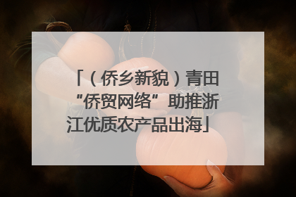 （侨乡新貌）青田“侨贸网络”助推浙江优质农产品出海