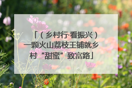 （乡村行·看振兴）一颗火山荔枝王铺就乡村“甜蜜”致富路