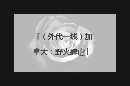 （外代一线）加拿大：野火肆虐