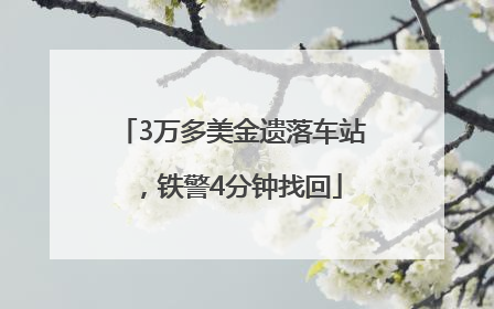 3万多美金遗落车站，铁警4分钟找回
