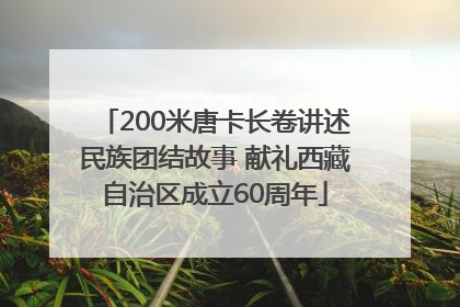 200米唐卡长卷讲述民族团结故事 献礼西藏自治区成立60周年