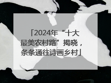 2024年“十大最美农村路”揭晓，条条通往诗画乡村
