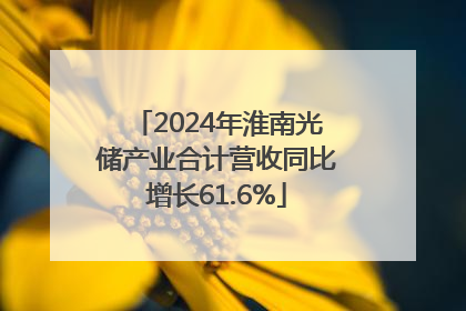 2024年淮南光储产业合计营收同比增长61.6%