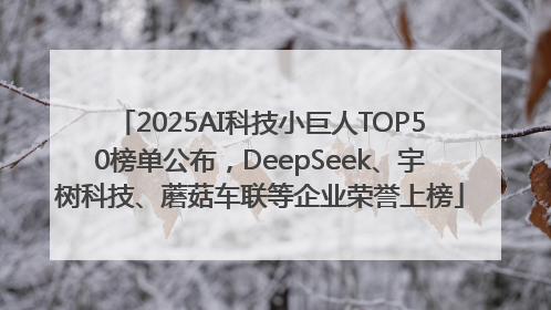 2025AI科技小巨人TOP50榜单公布，DeepSeek、宇树科技、蘑菇车联等企业荣誉上榜