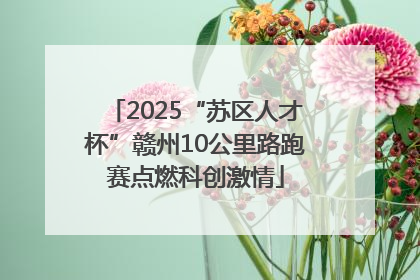 2025“苏区人才杯”赣州10公里路跑赛点燃科创激情