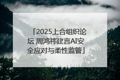 2025上合组织论坛 周鸿祎建言AI安全应对与柔性监管