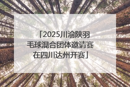 2025川渝陕羽毛球混合团体邀请赛在四川达州开赛