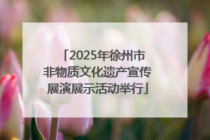 2025年徐州市非物质文化遗产宣传展演展示活动举行