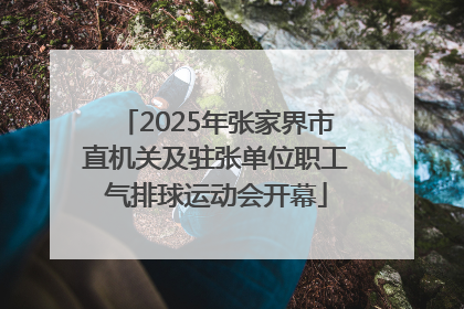 2025年张家界市直机关及驻张单位职工气排球运动会开幕