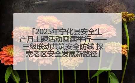 2025年宁化县安全生产月主题活动圆满举行——三级联动共筑安全防线 探索老区安全发展新路径