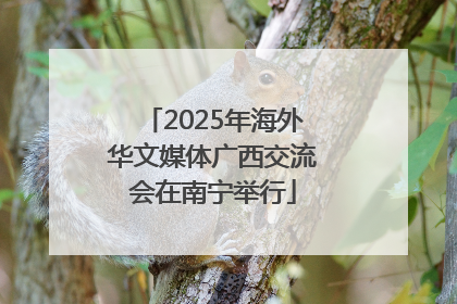 2025年海外华文媒体广西交流会在南宁举行