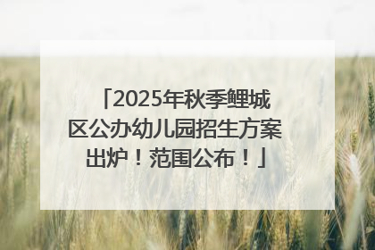 2025年秋季鲤城区公办幼儿园招生方案出炉！范围公布！