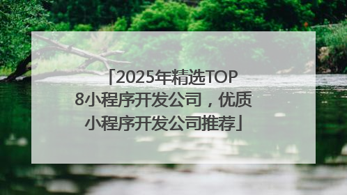 2025年精选TOP8小程序开发公司，优质小程序开发公司推荐