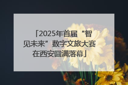 2025年首届“智见未来”数字文旅大赛在西安圆满落幕