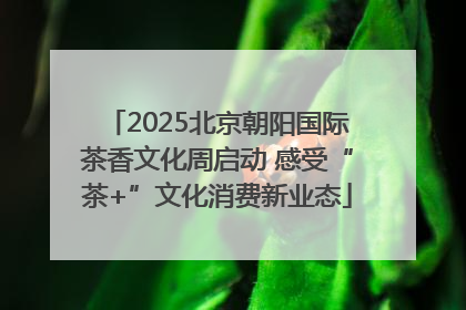 2025北京朝阳国际茶香文化周启动 感受“茶+”文化消费新业态
