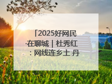 2025好网民·在聊城｜杜秀红：网线连乡土 丹心映桑梓